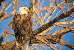 Winter Fun in the Lake McConaughy Area