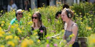 People sat among plants in Broad Meadow, Bristol - credit Bristol Shopping Quarter