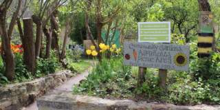 The community gardens allotments at Windmill Hill City Farm, Bristol - credit Windmill Hill City Farm