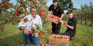 Thatchers Orchard Harvest