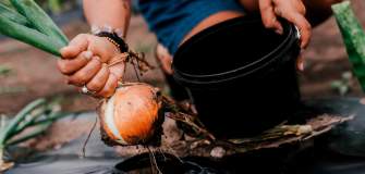 hearty vegetable picking