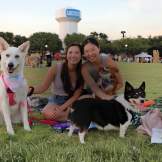Picnic with shadow