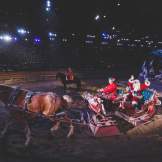 Christmas show