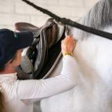 An equestrian competitor attaches a saddle to her white horse