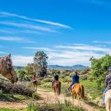 Equine in Temecula Valley