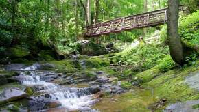 Bridge over a creek in the Cherokee National Forest