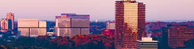 Dunwoody, GA Skyline