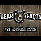 Bear Facts: #21 - You Should Never Leave Food Unattended Around Black Bears