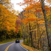 Fall driving smokies