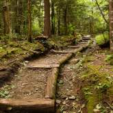 Trail Spotlight in the Smoky Mountains
