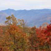 5 Places to Take Pictures in Gatlinburg this Fall