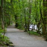 The Gatlinburg Trail