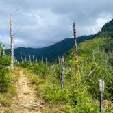 Great Smoky Mountains National Park begins multi-year rehabilitation of Bullhead Trail