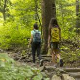Hiking in Great Smoky Mountains