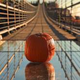 Treat Yourself to a Spooky Season in the Smokies