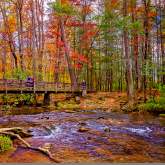 It’s Beginning to Feel Like Fall in the Smokies
