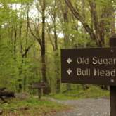 Great Smoky Mountains National Park Continues Rehabilitation of Bullhead Trail to Mount LeConte