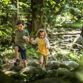 Why the Smoky Mountains Are Perfect for Families: Kid-Friendly Hikes, History & Wildlife