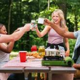 friends at picnic