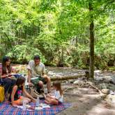 Top 8 Things to Do This Summer in Gatlinburg