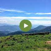 Purchase Knob webcam