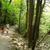 Gatlinburg’s Best Outdoor Activities By Season