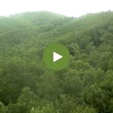 Twin Creeks webcam