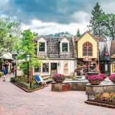 The Village