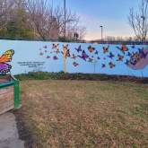 Butterfly Mural