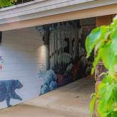 Great Smoky Mountain: Nocturnal & Cave Wildlife Mural