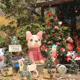 Apple Annie's Sip n Shop