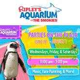 Parties on the Plaza