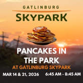 Pancakes in the Park