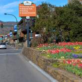 Gatlinburg Springfest