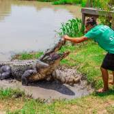 gator adventures