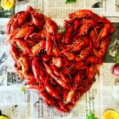 Crawfish