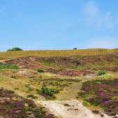 The local's guide: St George