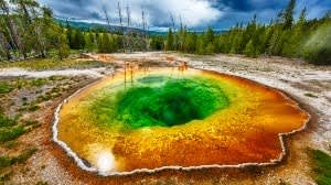 Yellowstone National Park