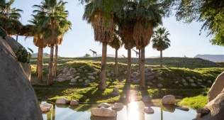 Plan Your Family Getaway This Summer at The Living Desert