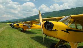 yellow airplanes