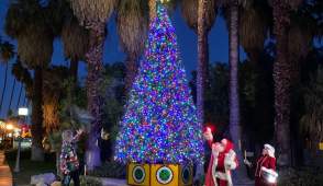 Palm Springs Tree Lighting