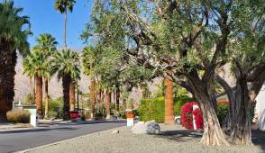 Explore Historic Deepwell Ranch Neighborhood: Self-Guided Bike Tour