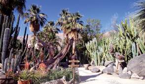Moorton Botanical Garden: A Living Desert Legacy