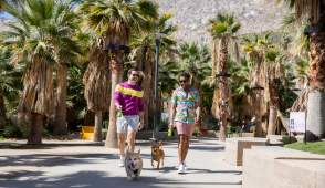 Palm Springs LGBTQ+ Itnerary: 3-Day Getaway with Dining, Nightlife, and Adventure
