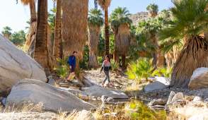 Your Guide to Visiting Palm Springs in the Fall