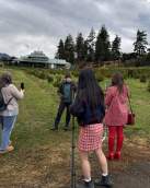 Oct 2025 Creator FAM - Paynter's Fruit Market