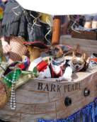 Mystic Krewe of Barkus