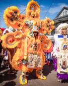Mardi Gras Indians on Mardi Gras Day