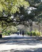 Audubon Park bike path