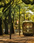 St. Charles Avenue Streetcar in Uptown New Orleans